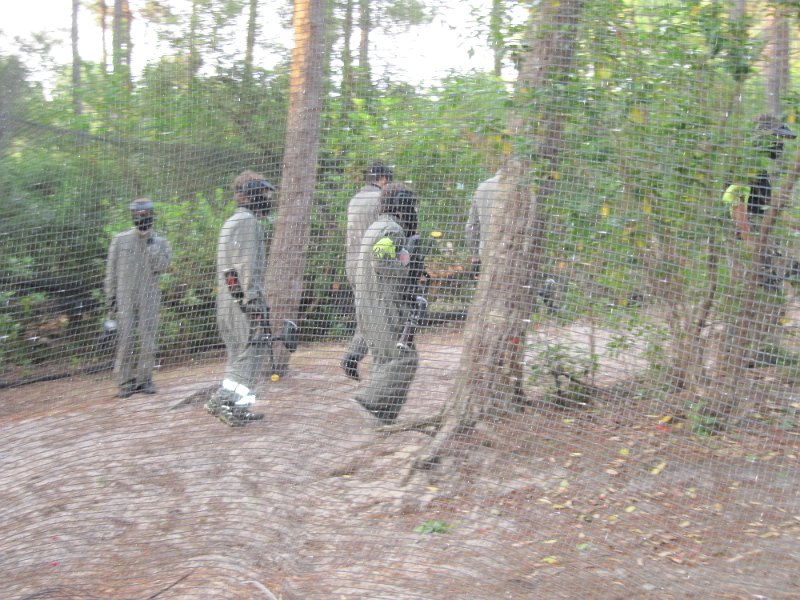 20130718_202716_IMG_3471.JPG -                                