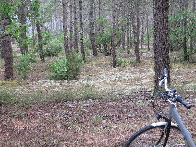 20130726_111111_IMG_3541.JPG -                                