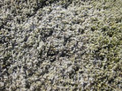 2016-06-14_-_12-30-45_-_IMG_5983_-_by_Isabelle_Canon_Powershot_S95