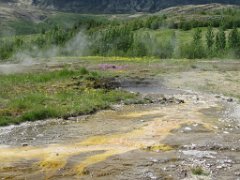 2016-06-14_-_14-16-30_-_IMG_6979_-_by_Sylvie_Canon_Powershot_SX200