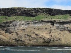 2016-06-15_-_11-42-07_-_IMG_7103_-_by_Sylvie_Canon_Powershot_SX200