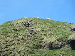 2016-06-15_-_12-07-11_-_IMG_7132_-_by_Sylvie_Canon_Powershot_SX200