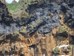 2016-06-15_-_12-36-29_-_IMG_6140_-_by_Isabelle_Canon_Powershot_S95