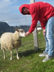 2016-06-15_-_16-33-06_-_IMG_7163_-_by_Sylvie_Canon_Powershot_SX200