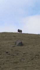 2016-06-15_-_17-08-02_-_IMAG0880_-_by_Seb_HTC_One_M8