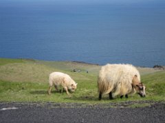 2016-06-15_-_17-35-57_-_IMG_6173_-_by_Isabelle_Canon_Powershot_S95