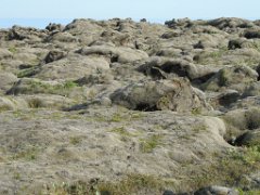 2016-06-16_-_19-32-20_-_IMG_7377_-_by_Sylvie_Canon_Powershot_SX200