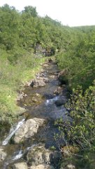 2016-06-17_-_11-45-29_-_IMAG0999_-_by_Seb_HTC_One_M8