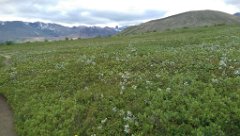 2016-06-17_-_13-05-41_-_IMAG1025_-_by_Seb_HTC_One_M8