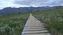 2016-06-17_-_13-06-15_-_IMAG1027_-_by_Seb_HTC_One_M8