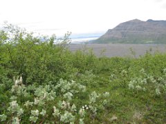 2016-06-17_-_13-16-40_-_IMG_7460_-_by_Sylvie_Canon_Powershot_SX200