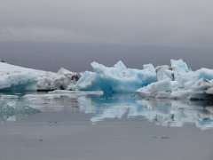 2016-06-18_-_09-07-19_-_IMG_7531_-_by_Sylvie_Canon_Powershot_SX200