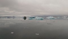 2016-06-18_-_09-15-47_-_IMAG1068_-_by_Seb_HTC_One_M8