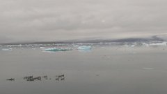 2016-06-18_-_09-22-14_-_IMAG1072_-_by_Seb_HTC_One_M8