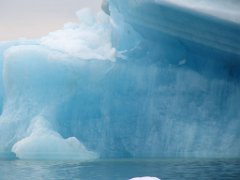 2016-06-18_-_10-23-01_-_IMG_7567_-_by_Sylvie_Canon_Powershot_SX200