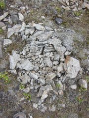 2016-06-18_-_11-25-19_-_IMG_6460_-_by_Isabelle_Canon_Powershot_S95