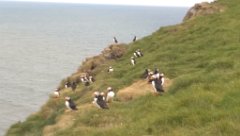 2016-06-18_-_14-30-00_-_IMAG1108_-_by_Seb_HTC_One_M8