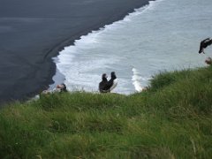 2016-06-18_-_14-33-00_-_IMG_6496_-_by_Isabelle_Canon_Powershot_S95