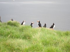 2016-06-18_-_14-33-58_-_IMG_6501_-_by_Isabelle_Canon_Powershot_S95