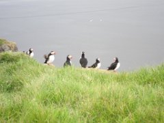 2016-06-18_-_14-34-35_-_IMG_6505_-_by_Isabelle_Canon_Powershot_S95