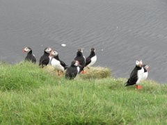 2016-06-18_-_14-38-00_-_IMG_7677_-_by_Sylvie_Canon_Powershot_SX200