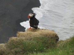 2016-06-18_-_14-38-09_-_IMG_7678_-_by_Sylvie_Canon_Powershot_SX200