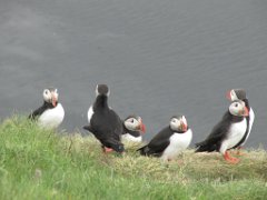 2016-06-18_-_14-40-03_-_IMG_7689_-_by_Sylvie_Canon_Powershot_SX200