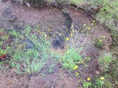 2016-06-19_-_20-53-04_-_IMG_6671_-_by_Isabelle_Canon_Powershot_S95