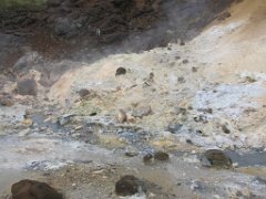 2016-06-20_-_12-54-20_-_IMG_6753_-_by_Isabelle_Canon_Powershot_S95